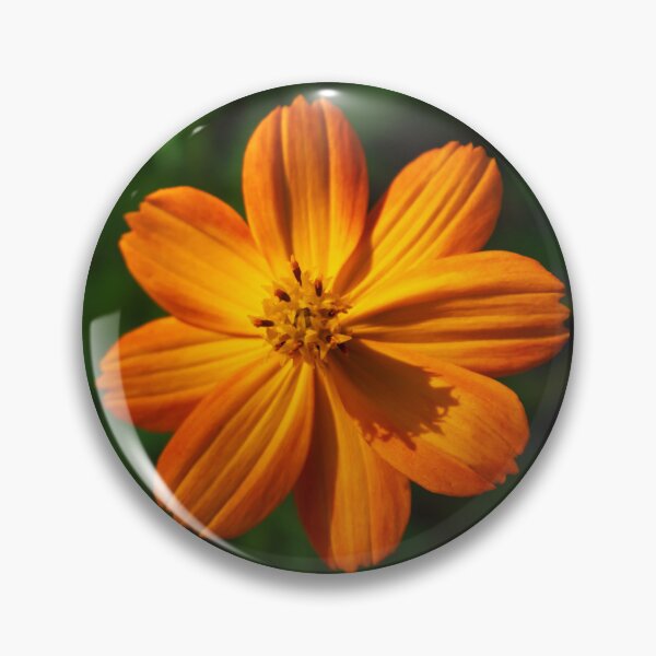 Item preview, Sulfur cosmos designed and sold by PariSeine.