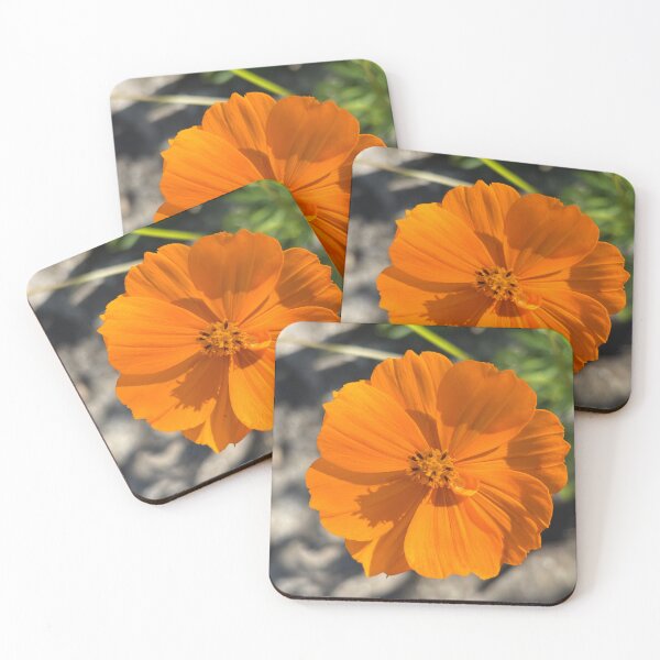 Item preview, Sulfur cosmos designed and sold by PariSeine.