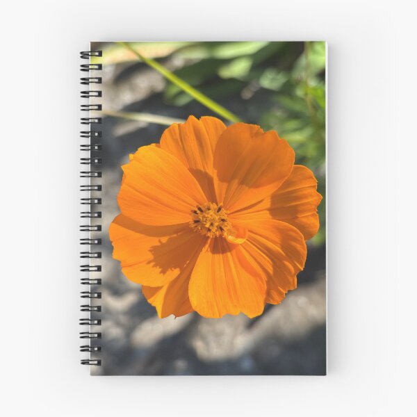 Item preview, Sulfur cosmos designed and sold by PariSeine.