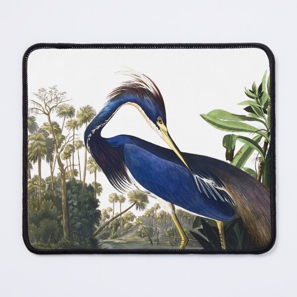 Item preview, Louisiana Heron - John James Audubon designed and sold by Jon-Baran.