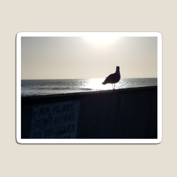 Item preview, Seagull in the sun. designed and sold by Moonwater.