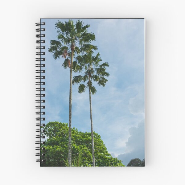 Item preview, Toddy palm trees designed and sold by PariSeine.