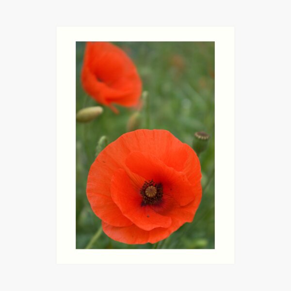 Authenticity... Art Print