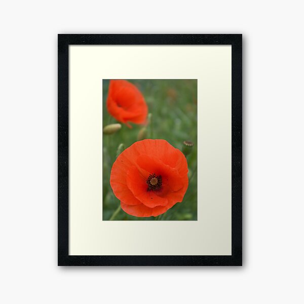 Authenticity... Framed Art Print