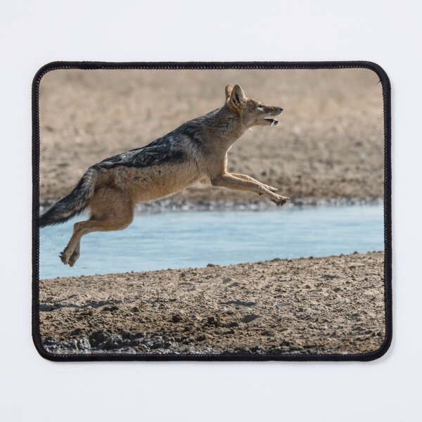 Item preview, The Leap – Jackal over the Waterhole designed and sold by DavideAntoniani.