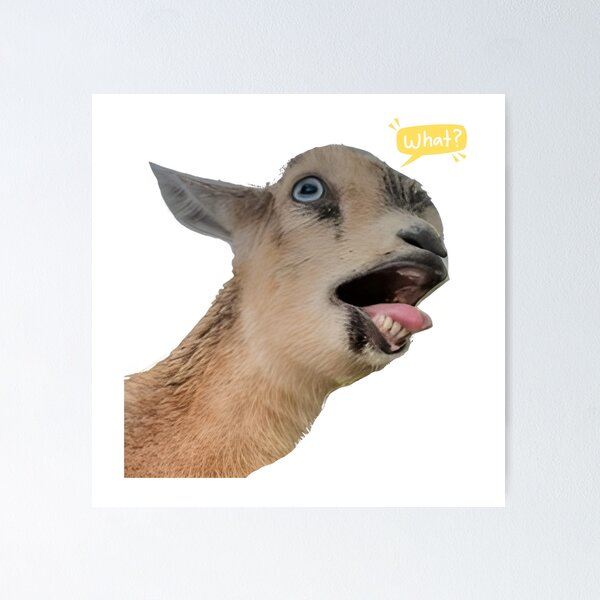 Item preview, Funny Goat Reaction Meme Face designed and sold by DariaOltes.
