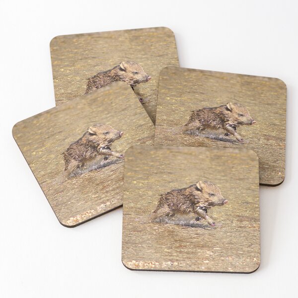 Item preview, Cute Baby Javelina Running In Water designed and sold by simonjayphotos.