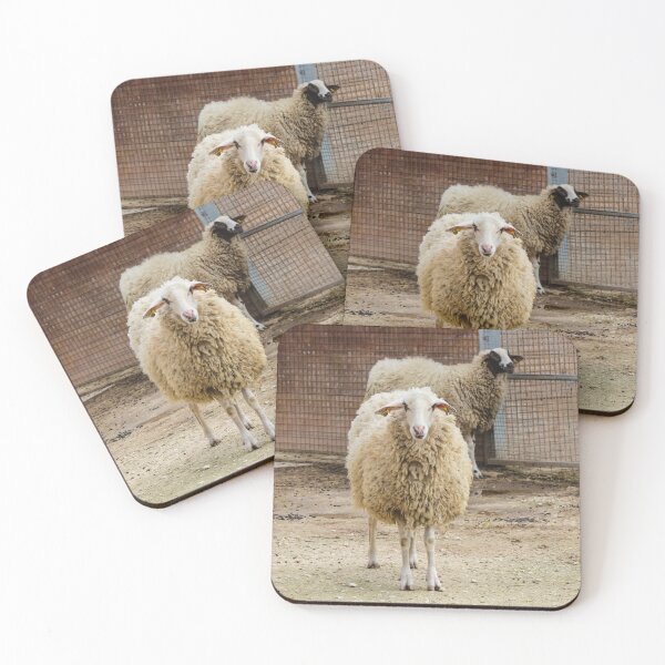 Item preview, Sheep in a Farm Enclosure Staring at the Camera with Woolly Coats and Fences Behind designed and sold by Nmallia.