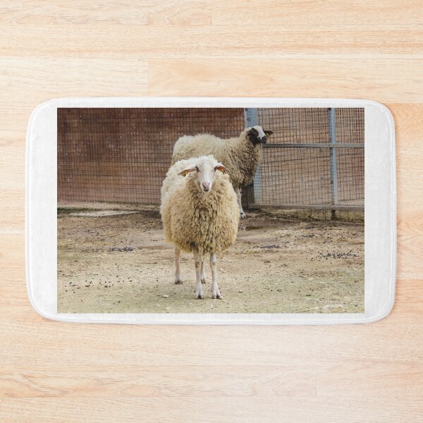 Item preview, Sheep in a Farm Enclosure Staring at the Camera with Woolly Coats and Fences Behind designed and sold by Nmallia.