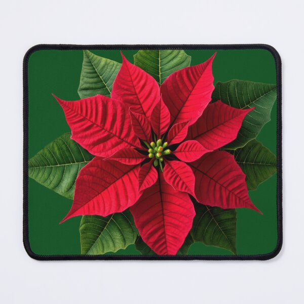Item preview, Beautiful Poinsettia Makes Christmas Spirit Bright designed and sold by christmas-xmas.