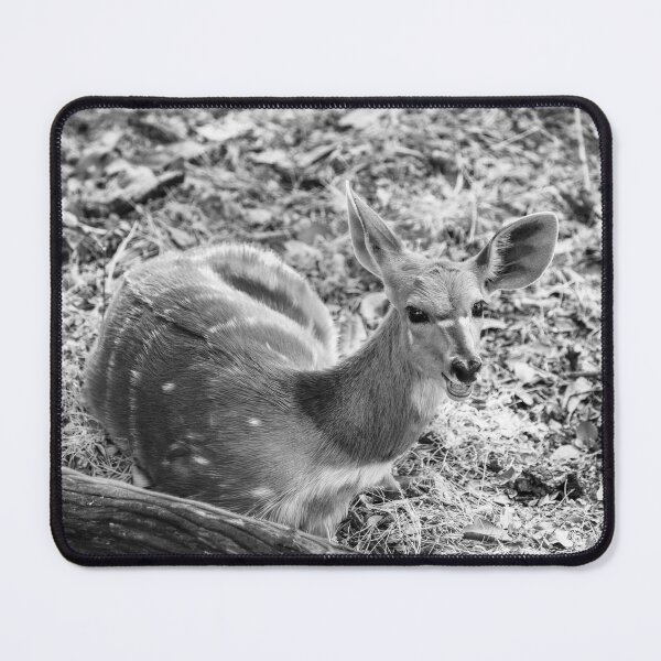 Item preview, Bushbok Doe In Black and White designed and sold by Kay Brewer.