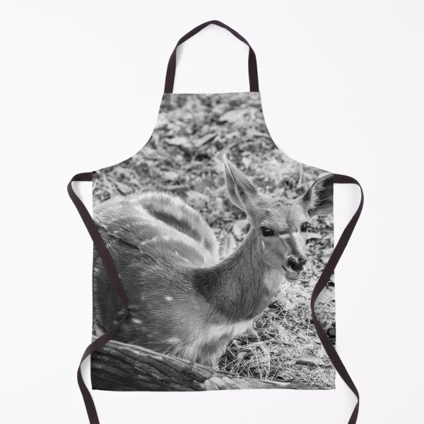 Item preview, Bushbok Doe In Black and White designed and sold by Kay Brewer.