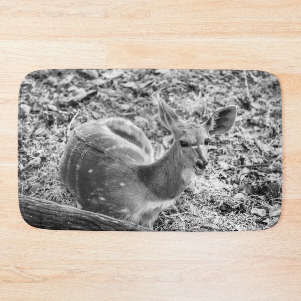 Item preview, Bushbok Doe In Black and White designed and sold by Kay Brewer.
