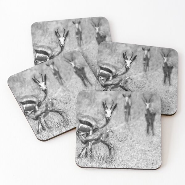 Item preview, Springbok Mom and Calf In Black and White designed and sold by Kay Brewer.