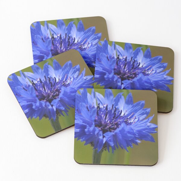 Item preview, Blue Cornflower designed and sold by joelbakken39.