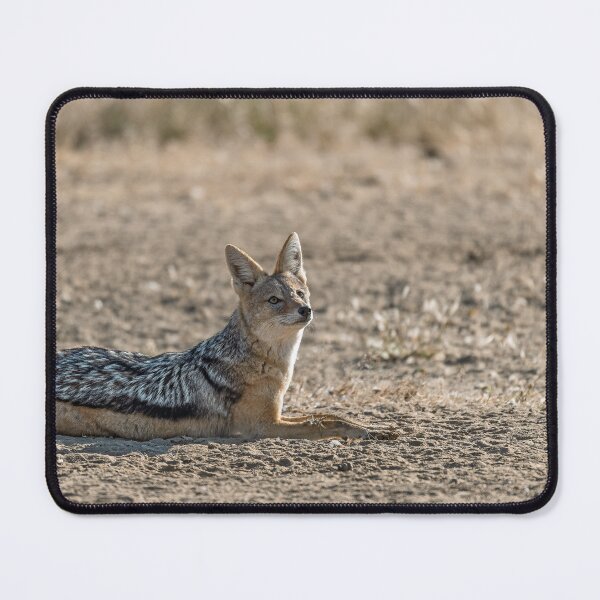 Item preview, Full Belly, Quiet Sands — Black‑Backed Jackal Part 11 designed and sold by DavideAntoniani.