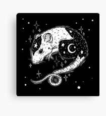 the Witch's Companion Canvas Print
