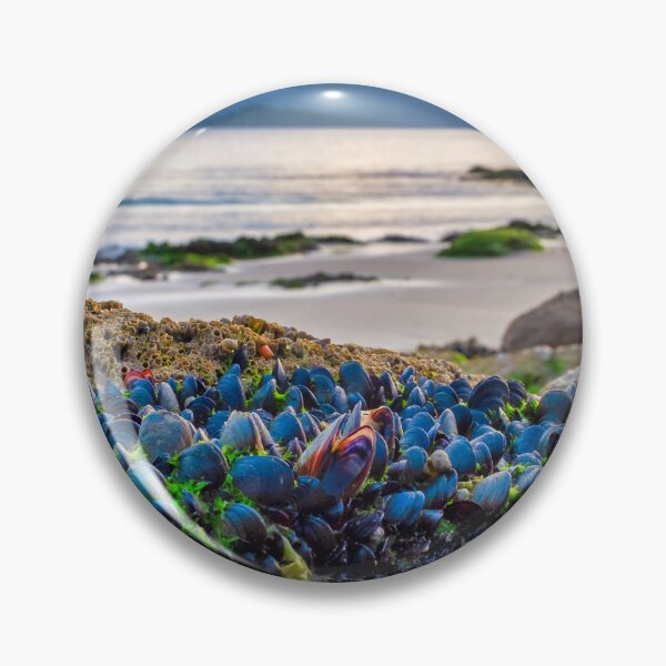 Item preview, Mussels designed and sold by troianifabrizio.
