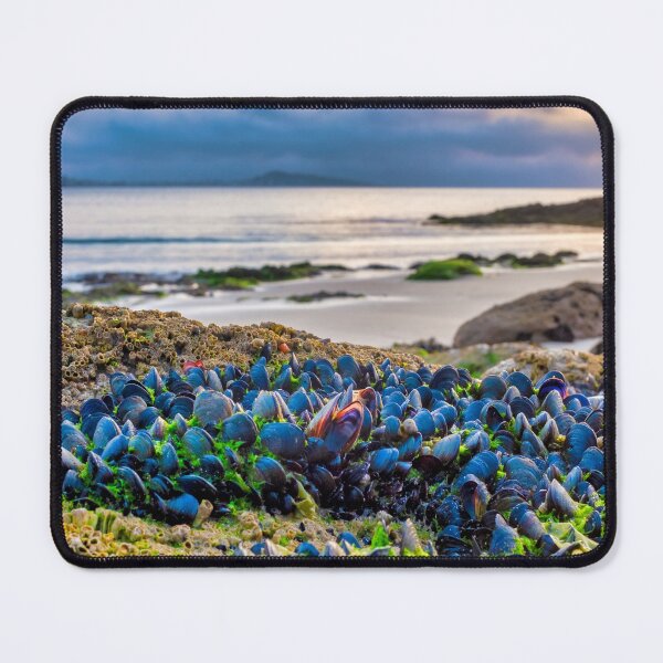 Item preview, Mussels designed and sold by troianifabrizio.