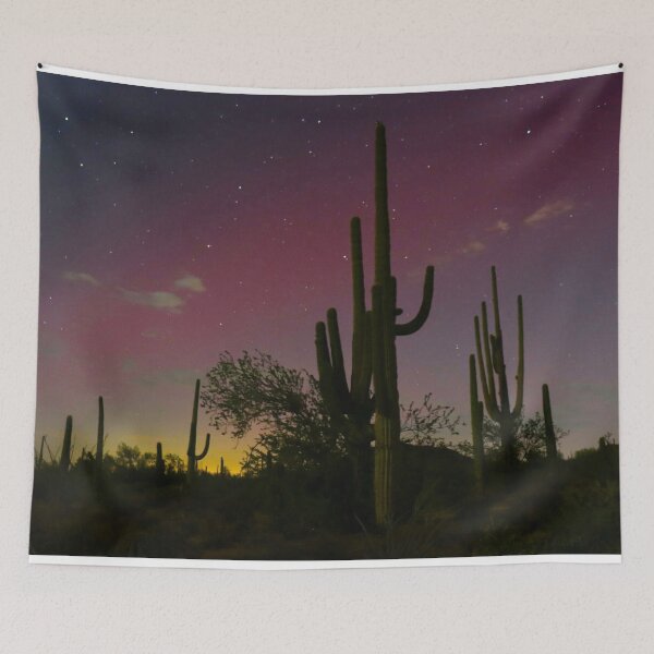 Artikelvorschau, Atemberaubende Nordlichter bei Saguaro-Kakteen entworfen und verkauft von simonjayphotos.