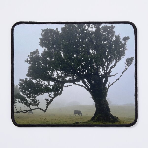 Item preview, Enchanted forest designed and sold by tomisa.