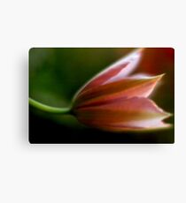 A painting Canvas Print