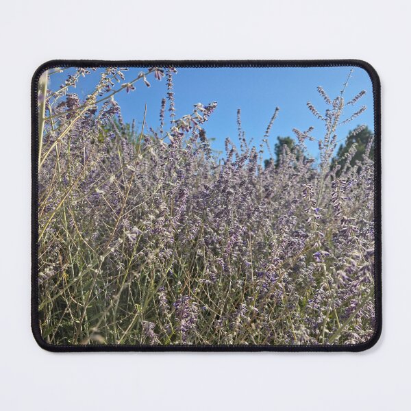 Item preview, Mexican Sage Glowing in the Ligh designed and sold by Betsy Phillips.