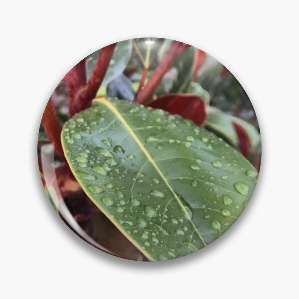 Item preview, Subtropical Rain designed and sold by Emily.Kimball.Photos.