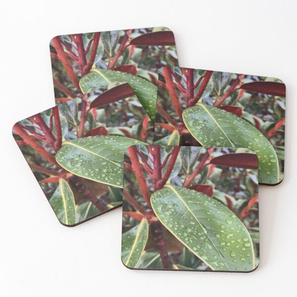 Item preview, Subtropical Rain designed and sold by Emily.Kimball.Photos.