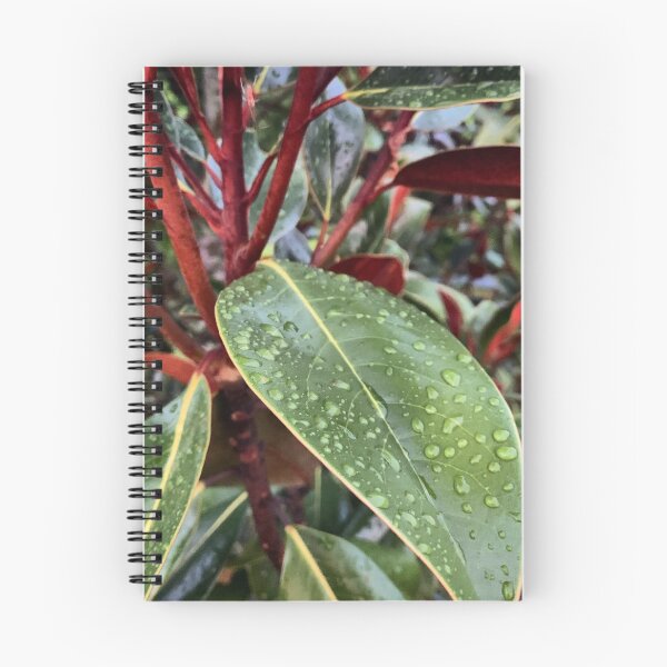 Item preview, Subtropical Rain designed and sold by Emily.Kimball.Photos.