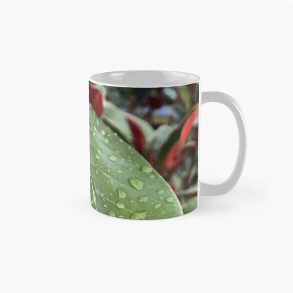 Item preview, Subtropical Rain designed and sold by Emily.Kimball.Photos.