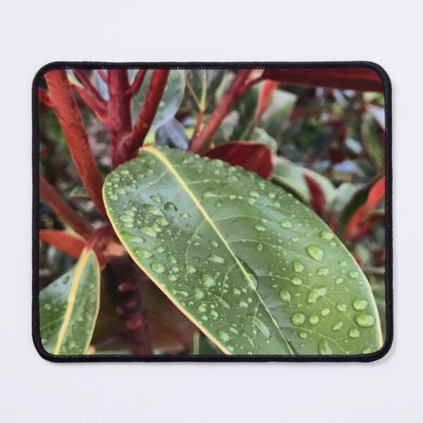 Item preview, Subtropical Rain designed and sold by Emily.Kimball.Photos.