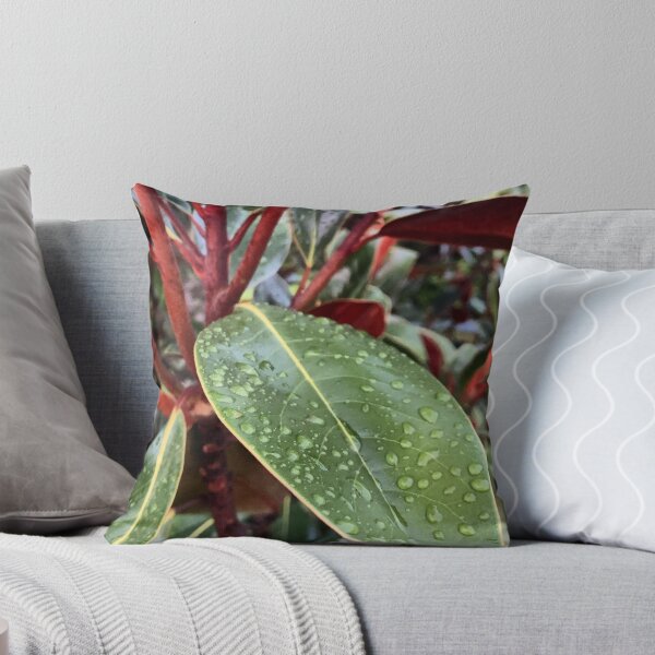 Item preview, Subtropical Rain designed and sold by Emily.Kimball.Photos.