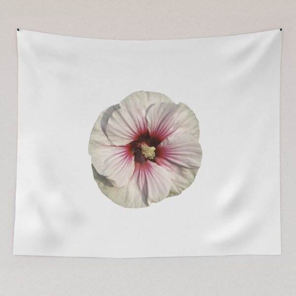 Item preview, Isolated White-Pink  Hibiscus 7-30-25 designed and sold by Thomasyoung.