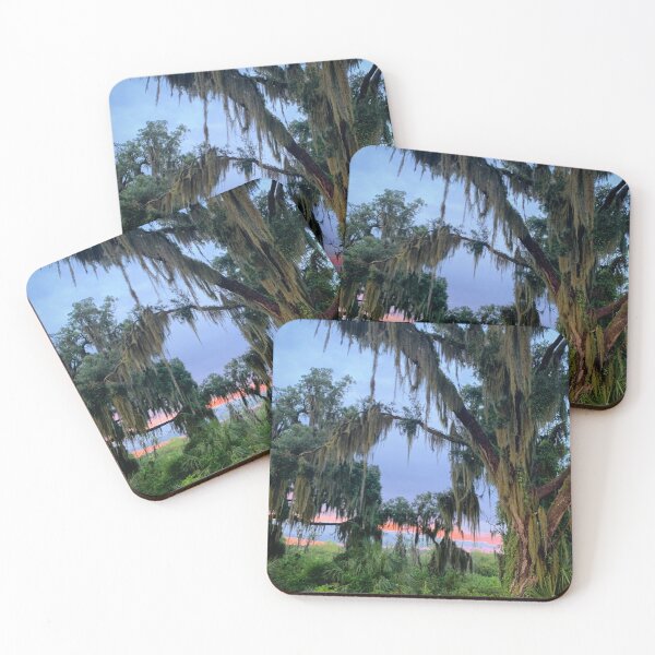 Item preview, Mosquitoes Call, Thunder Answers designed and sold by Emily.Kimball.Photos.