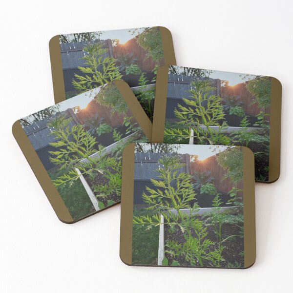 Item preview, Puzzles designed and sold by Emily.Kimball.Photos.