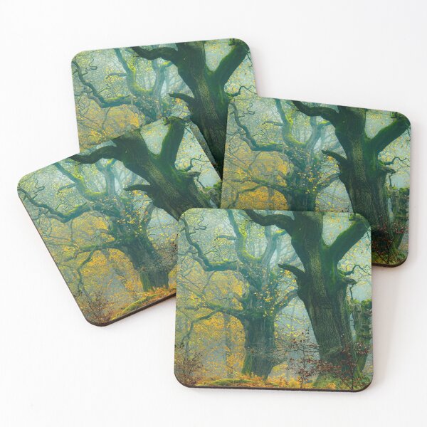 Item preview, Ancient Klm Airlines Oak Grove designed and sold by Patsummit.
