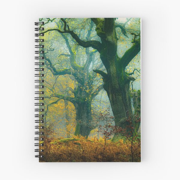 Item preview, Ancient Klm Airlines Oak Grove designed and sold by Patsummit.