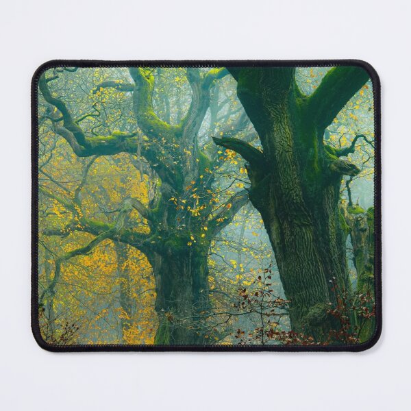 Item preview, Ancient Klm Airlines Oak Grove designed and sold by Patsummit.