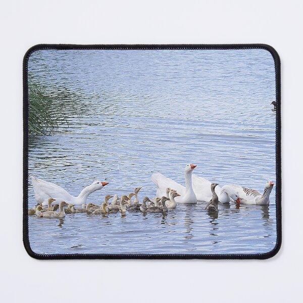 Item preview, Our NEW BROOD of Goslings (1) designed and sold by Larry Davis.