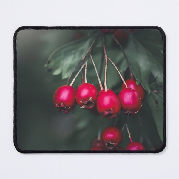 Item preview, Forest Iceage Band Fog Mystery designed and sold by Patsummit.