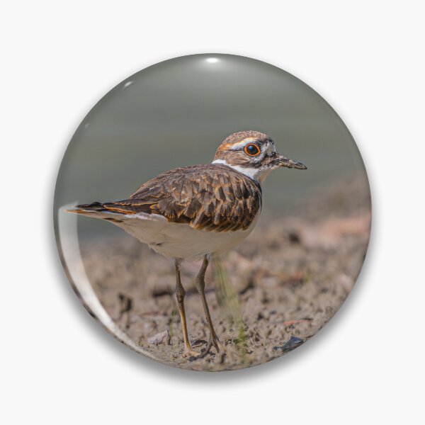 Item preview, Wading for the Weekend (Killdeer) designed and sold by Fultz-Brothers.