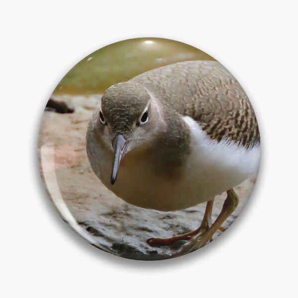 Item preview, Sandpiper  designed and sold by Parks and X.