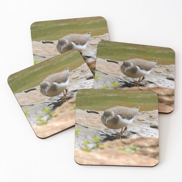 Item preview, Sandpiper  designed and sold by Parks and X.