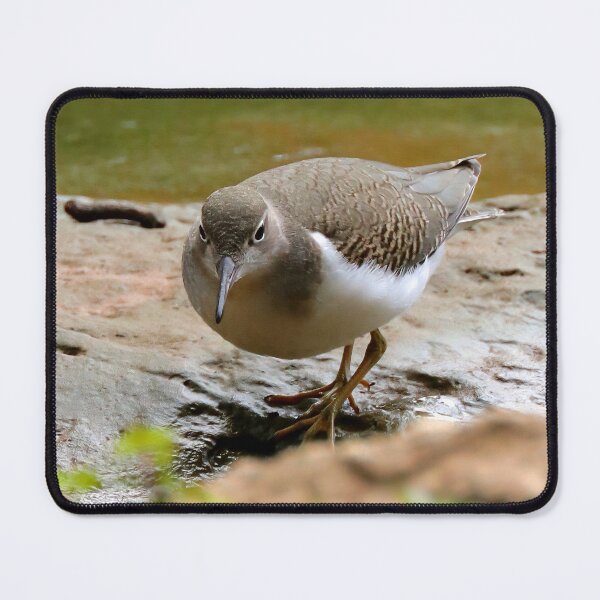 Item preview, Sandpiper  designed and sold by Parks and X.