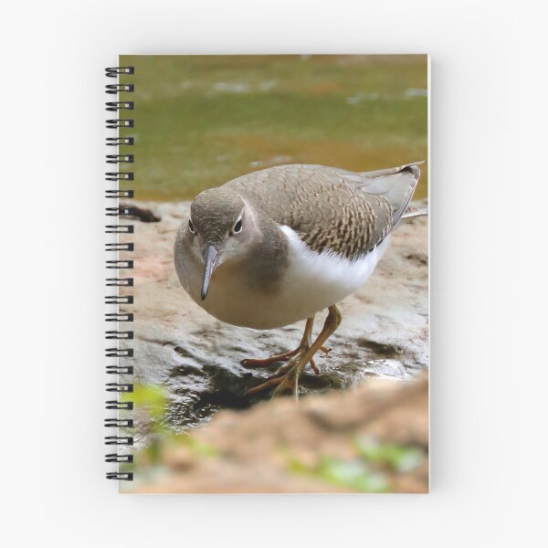 Item preview, Sandpiper  designed and sold by Parks and X.