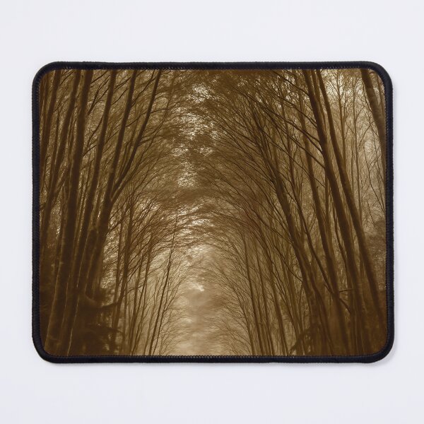 Item preview, Forest Passage — Port Hardy, British Columbia designed and sold by Fourpointstudio.