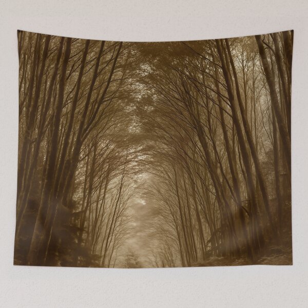 Item preview, Forest Passage — Port Hardy, British Columbia designed and sold by Fourpointstudio.