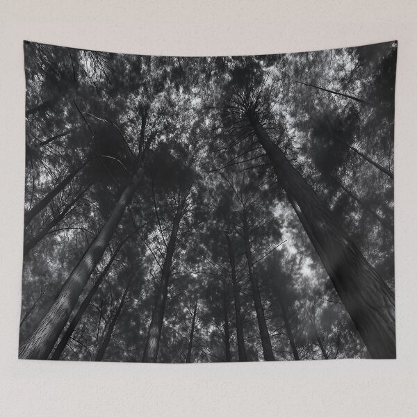 Item preview, Canopy Shadows — Prince Rupert Forest, BC designed and sold by Fourpointstudio.