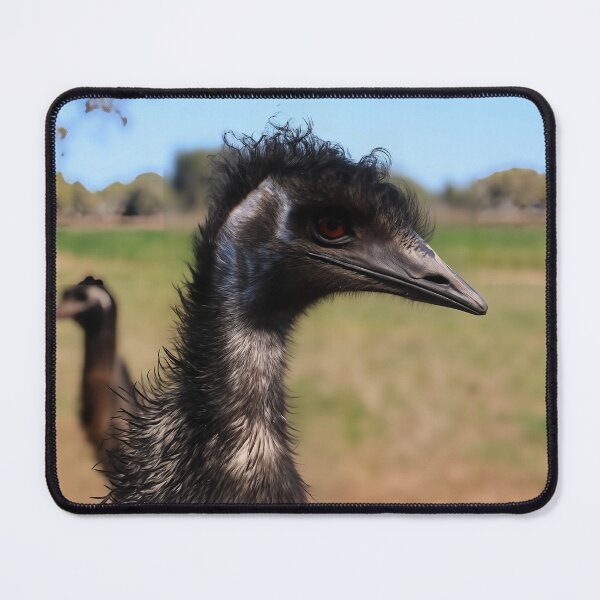 Item preview, Curious Emu — Coonabarabran, NSW designed and sold by Fourpointstudio.